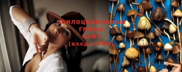 эйфоретик Абинск