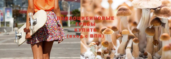 индика Рославль