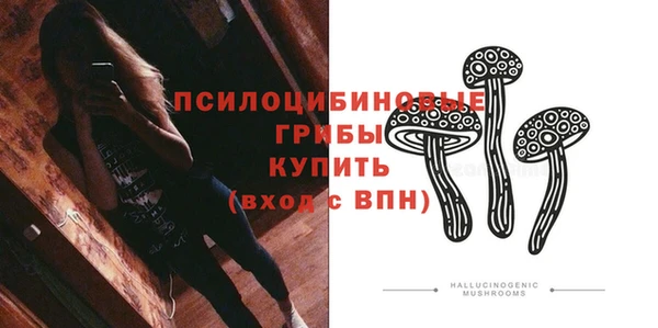 PSILOCYBIN Россошь