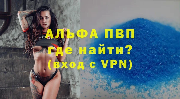 индика Рославль