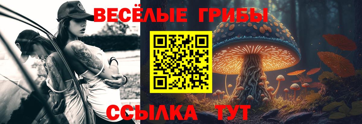 Галлюциногенные грибы мухоморы  Вход с VPN  Азов 