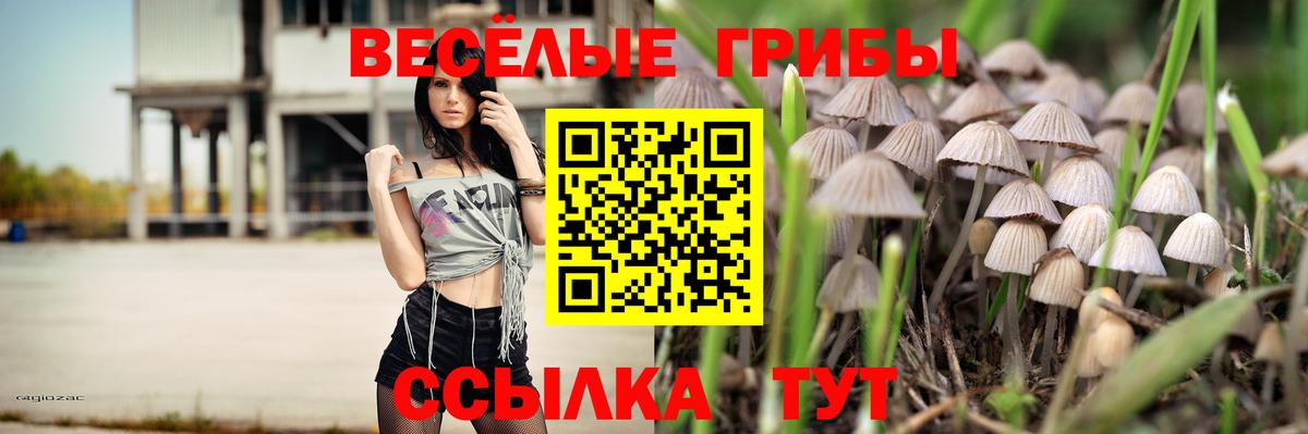 Мефедрон кристаллы  Кодеин  Азов  Вход с VPN  КОКАИН  Метадон  Мефедрон  МАРИХУАНА  ГАШ 